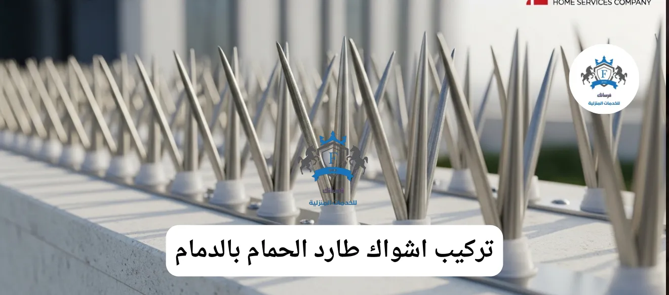 صورة مقربة لأشواك طاردة للحمام من الاستانلس ستيل مثبتة بإحكام على حافة سطح مبنى في الدمام