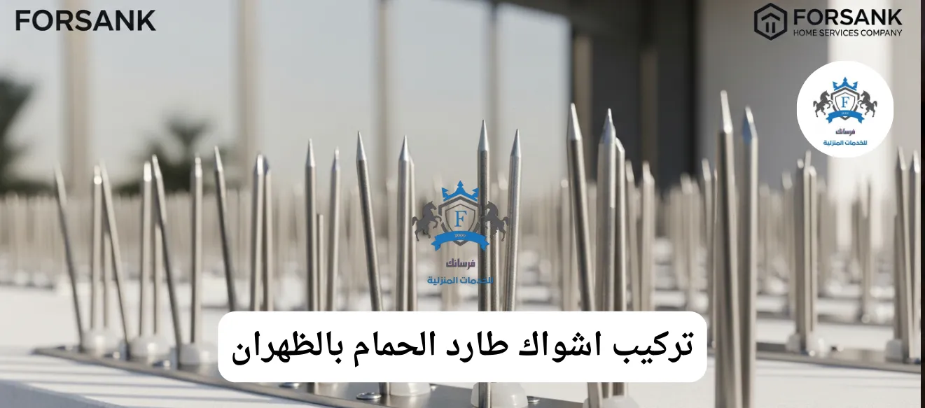 صورة مقربة لأشواك طاردة للحمام من الاستانلس ستيل مثبتة بإحكام على حافة سطح مبنى في الظهران