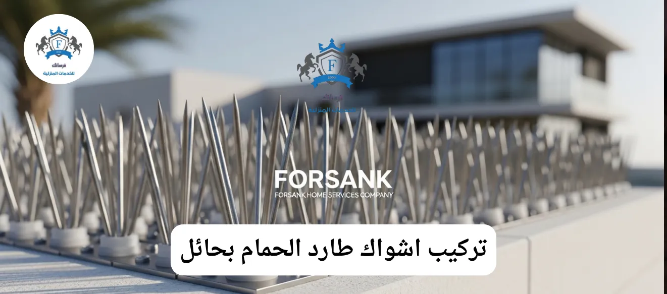 صورة مقربة لأشواك طاردة للحمام من الاستانلس ستيل مثبتة بإحكام على حافة سطح مبنى في حائل