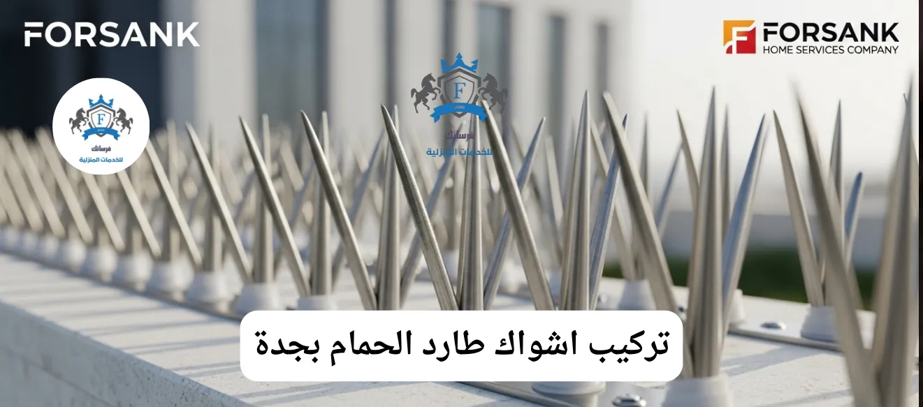 صورة مقربة لأشواك طاردة للحمام من الاستانلس ستيل مثبتة بإحكام على حافة سطح مبنى في جدة