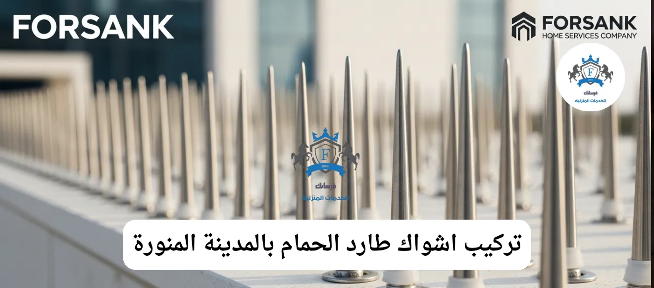 صورة مقربة لأشواك طاردة للحمام من الاستانلس ستيل مثبتة بإحكام على حافة سطح مبنى في المدينة المنورة