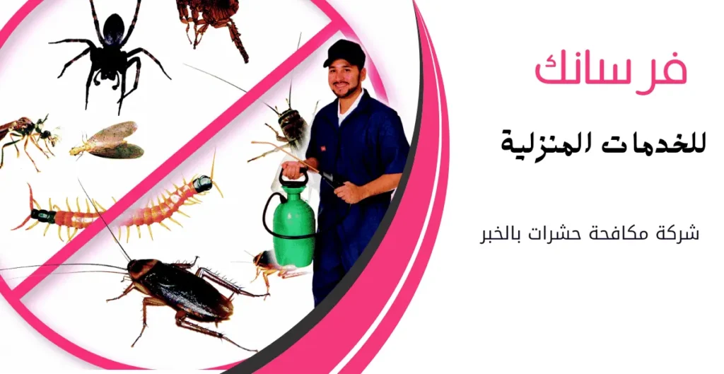 شركة مكافحة حشرات بالخبر