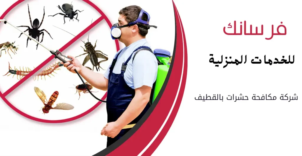 شركة رش مبيدات بالقطيف