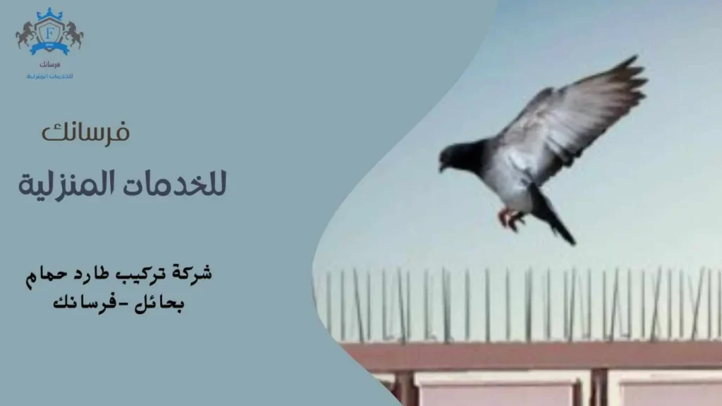 شركة تركيب طارد حمام بحائل