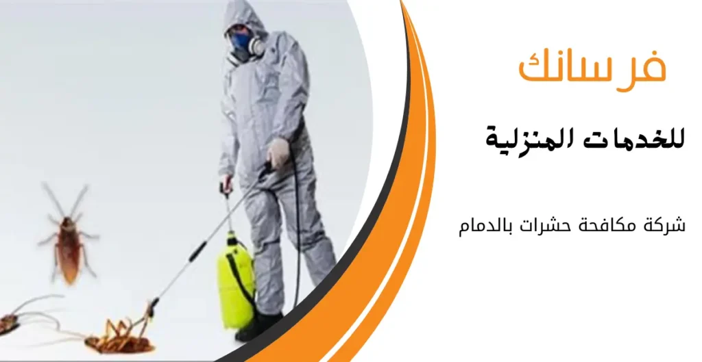شركة مكافحة حشرات بالدمام