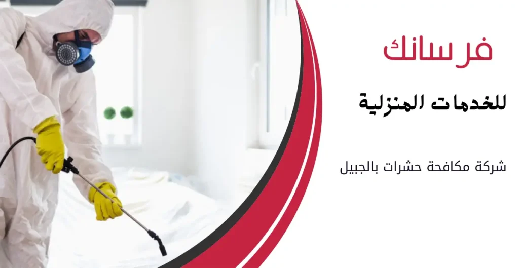 شركة مكافحة حشرات بالجبيل