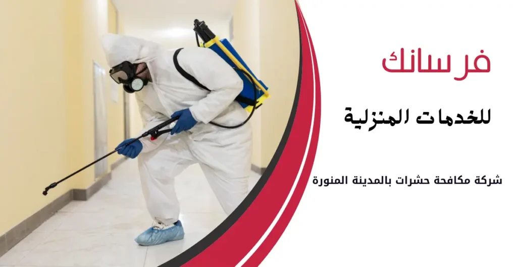 شركة مكافحة حشرات بالمدينة المنورة